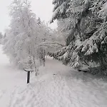 Appartement Mia Winterberg