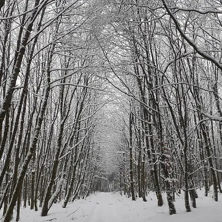Mia * Winterberg