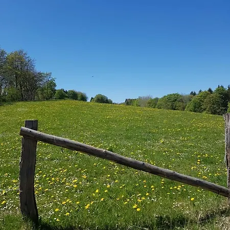 Apartment Mia Winterberg